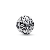 Charm Pandora Donna Collaborations in Argento 792351C01 - 792351C01